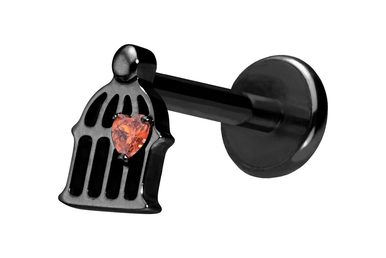 Titan Labret Piercing mit Push Fit KÄFIG